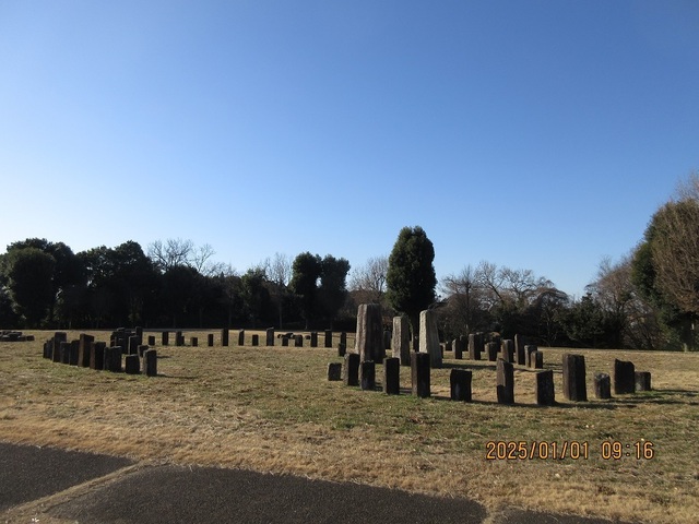 IMG_1590.jpg