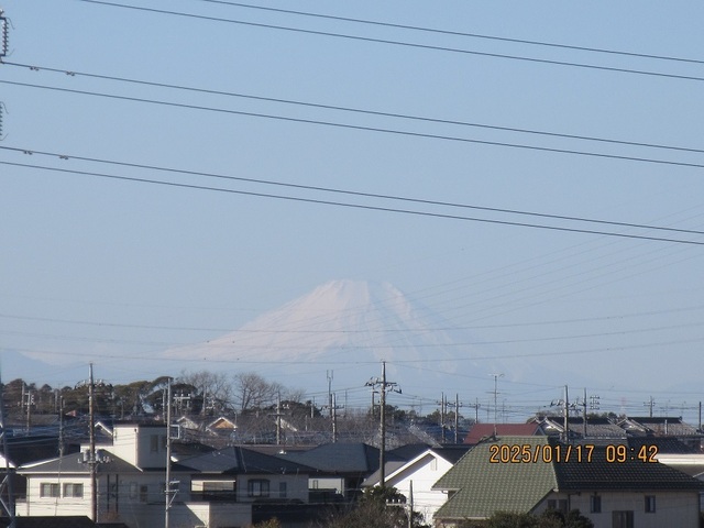 IMG_1692.jpg