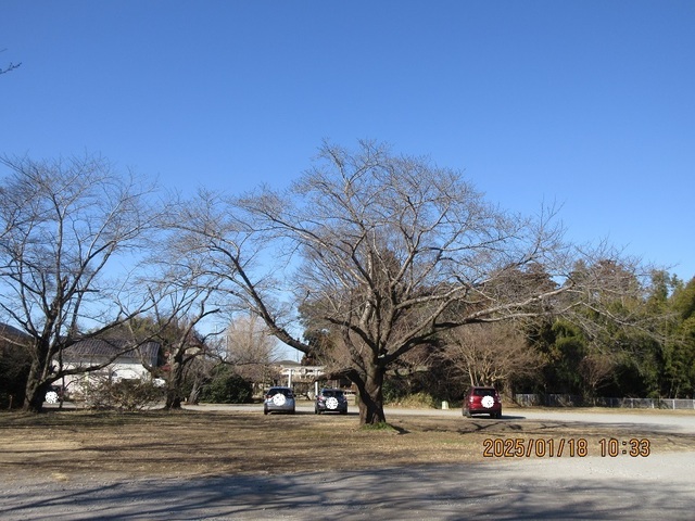 IMG_1706.jpg