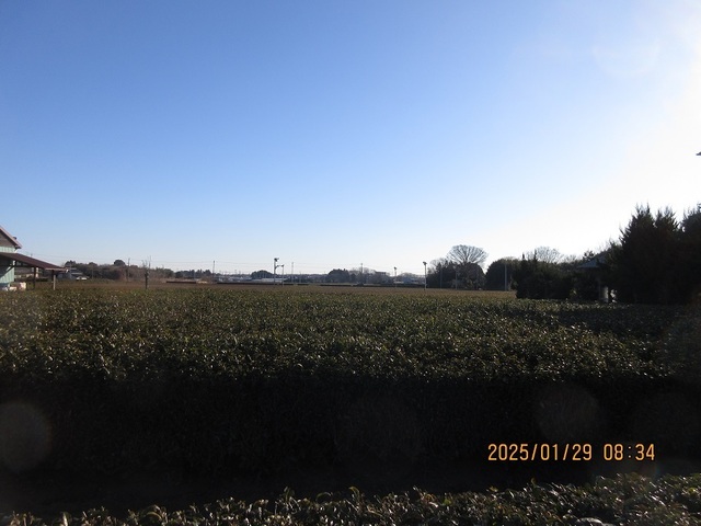 IMG_1784.jpg