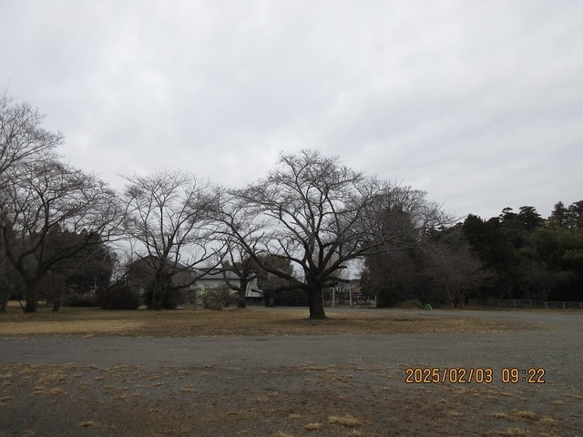 IMG_1811.jpg