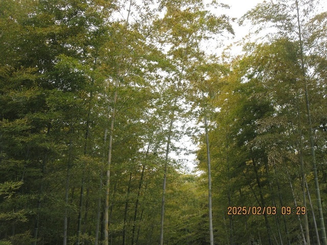 IMG_1813.jpg