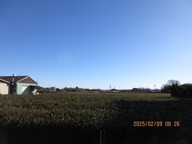 IMG_1865.jpg