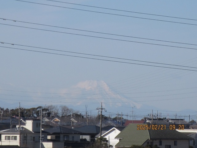 IMG_1944.jpg