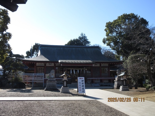 IMG_1977.jpg